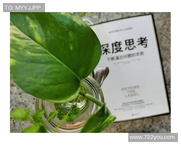 吴军的攀岩人生:在高峰与深渊之间的深度对话与思考 吴军的攀岩人生:在高峰与深渊之间的深度对话与思考