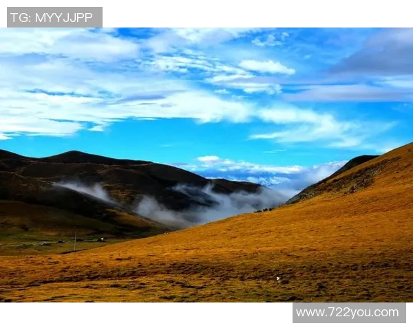 焦泊乔的艺术旅程与人生哲学探讨：从创作灵感到心灵启迪的深度剖析