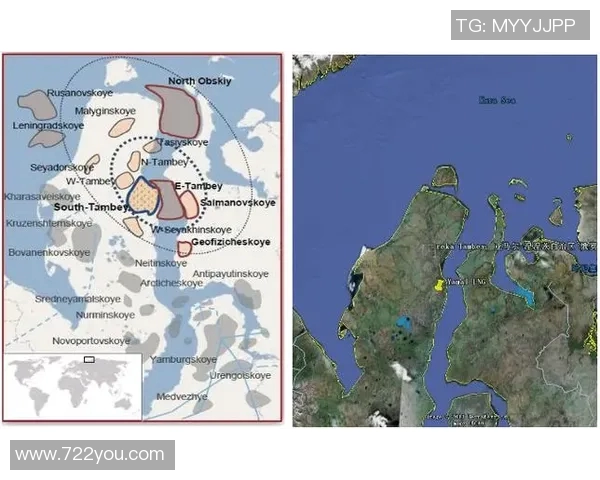 亚马尔地区的资源开发与国际合作新机遇探讨